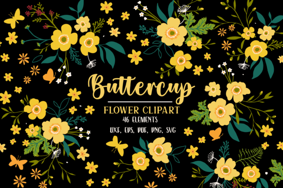 Buttercup Flower SVG: Graphics & Illustrations