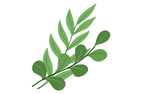 Green Leaves Branches: Graphics & Illustrations
