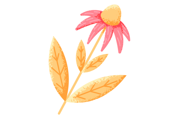 Pink Daisy Drawing: Graphics & Illustrations